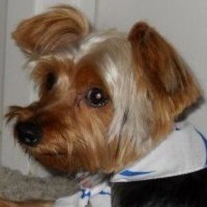 Meet your Posher, Cheri